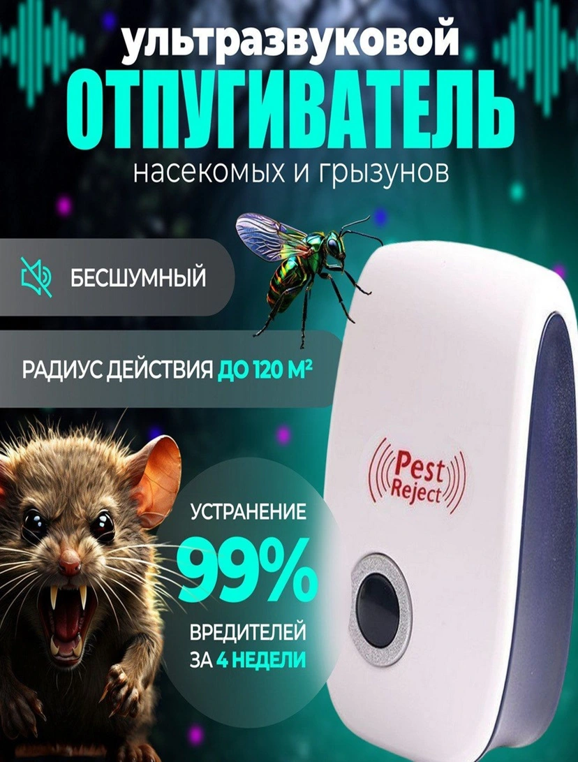 Spa ProBrush